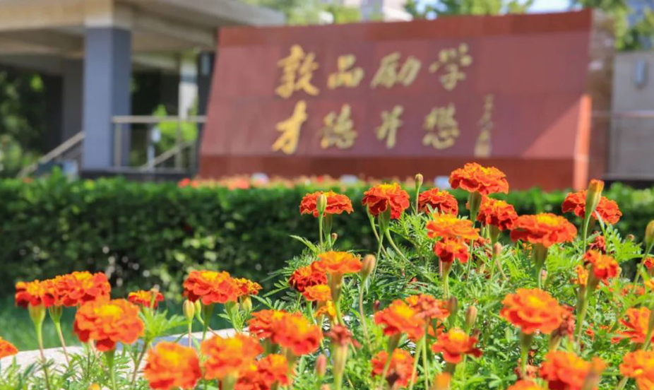 正版香港猛虎六大宝典