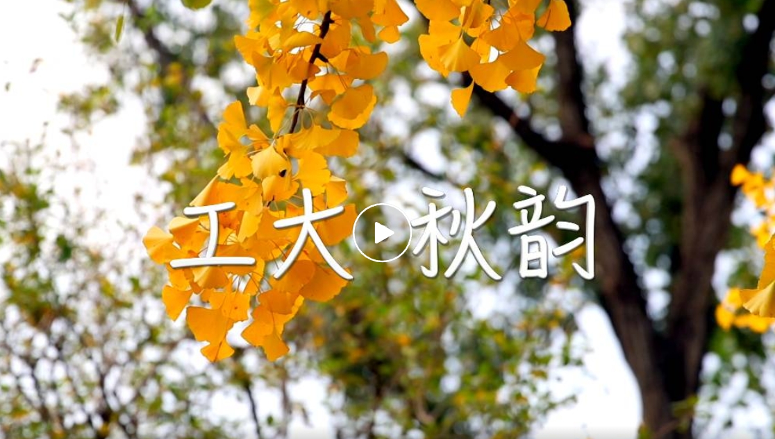 正版香港猛虎六大宝典
